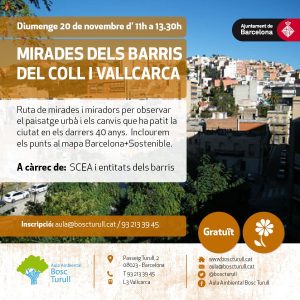 cartell_rutamiradors